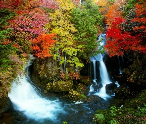 Jesień, Wodospady, Drzewa