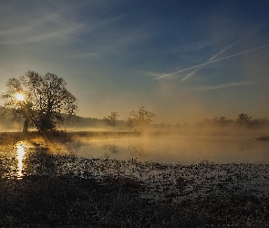 Rogalin., Rogaliński Park Krajobrazowy, Wschód słońca, Poranek, Mgła, Niebo