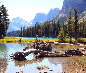 Góry, Kanada, Las, Park Narodowy, Jezioro