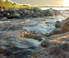 Drzewa, Kamienie, Rwąca, Rzeka