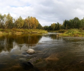 Jesień, Kamień, Drzewa, Trawy, Rzeka