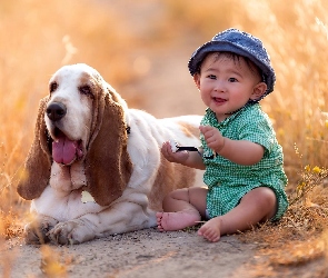 Trawa, Łąka, Chłopczyk, Mały, Pies, Basset