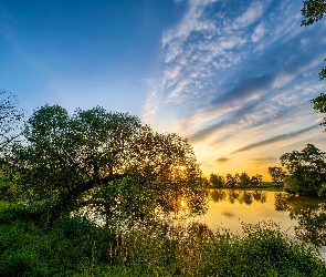 Drzewa, Słońca, Wschód, Trawy, Jezioro