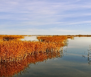 Trzciny, Rude, Jesień, Jezioro