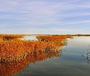 Jesień, Trzciny, Rude, Jezioro