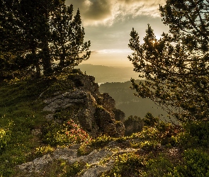 Drzewa, Niebo, Góry