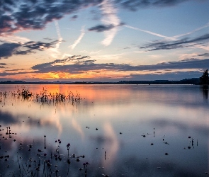 Jezioro, Niebo, Słońca, Rośliny, Wschód, Drzewa