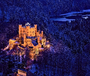 Bawaria, Jezioro, Las, Zamek Hohenschwangau, Niemcy