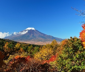 Góra, Wulkan, Krzewy, Japonia, Fuji
