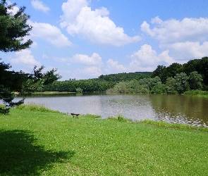 Zieleń, Ławka, Jezioro
