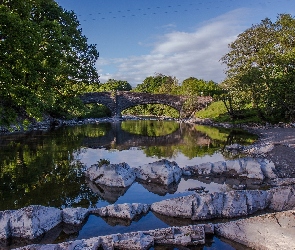 Kamienie, Most, Kamienny, Drzewa, Rzeka