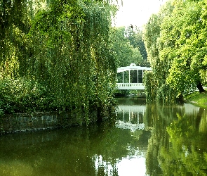 Most, Jezioro, Woda, Drzewa, Park