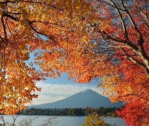 Japonia, Gałęzie, Góra, Fuji