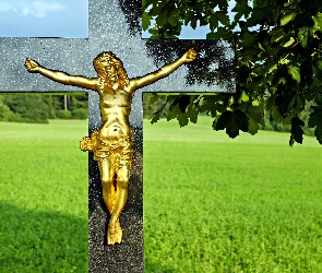 Religijne, Drzewo, Jezus, Krzyż