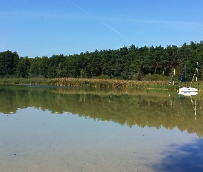 Las, Lato, Żaglówka, Odbicie, Jezioro