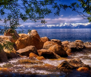 Lake Tahoe, Gałęzie, Jezioro, Góry Sierra Nevada, Nevada, Kamienie, Stany Zjednoczone, Drzewo