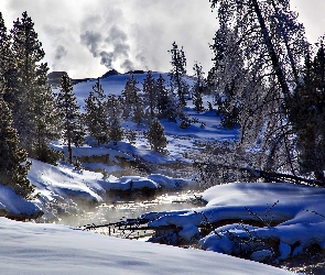 Drzewa, Zima, Stan Wyoming, Stany Zjednoczone, Park Narodowy Yellowstone, Rzeka Firehole River