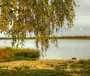 Jezioro, Drzewo, Jesień