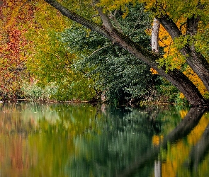 Odbicie, Jezioro, Drzewa, Jesień, Kolorowe, Liście