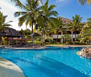 Hotel, Palmy, Basen, Domki