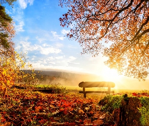 Park, Jesień, Drzewa, Ławka, Liście, Promienie słońca