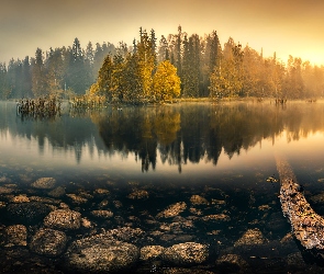 Jezioro, Kamienie, Drzewa, Mgła, Jesień