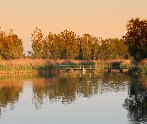 Odbicie, Jezioro, Jesień, Drzewa, Zachód, Słońca, Trzciny