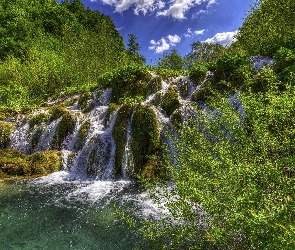 Chorwacja, Roślinność, Drzewa, Wodospad, Park Narodowy Jezior Plitwickich