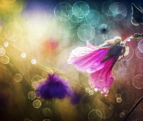Światło, Bokeh, Ślazówka letnia, Kwiat