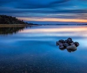 Jezioro, Kamienie, Las