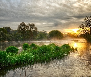 Drzewa, Roślinność, Słońca, Wschód, Jezioro