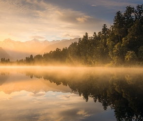 Jezioro, Mgła, Las, Drzewa