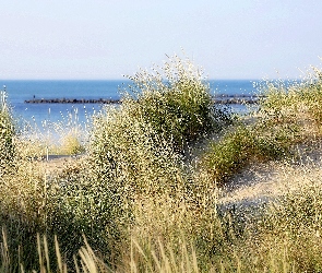 Trawy, Wydmy, Morze, Plaża