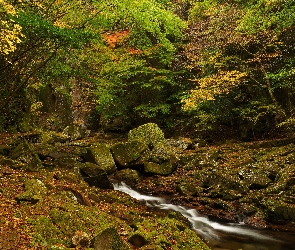 Rzeka, Skały, Drzewa