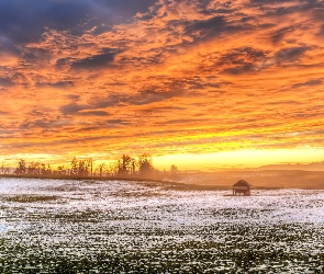 Pole, Niebo, Zachód słońca, Drzewa, Zima