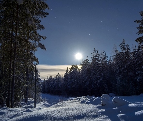 Las, Śnieg, Słońca, Promienie, Zima