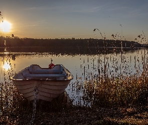 Jezioro, Trawy, Zachód, Słońca, Łódka