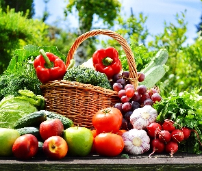 Owoce, Warzywa, Winogrona, Papryka, Czosnek, Pomidory, Koszyk