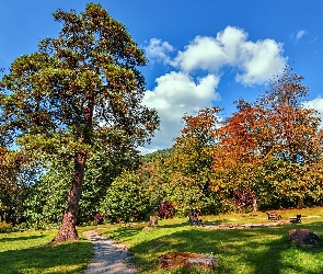 Jesień, Ścieżka, Drzewa, Park