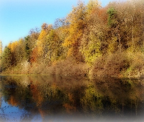 Jezioro, Odbicie, Kolorowe, Drzewa, Jesień