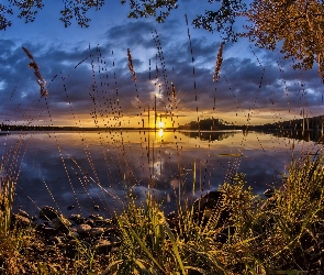 Jezioro, Zachód słońca, Szuwary
