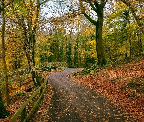Park, Staw, Most