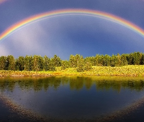 Las, Odbicie, Tęcza, Podwójna, Jezioro