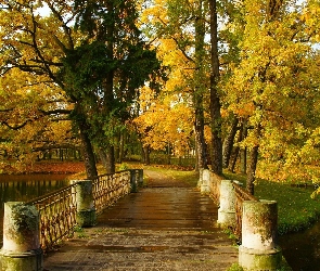 Park, Mostek, Drzewa, Jesień