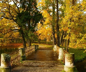 Mostek, Drzewa, Park, Jesień