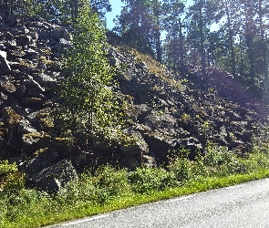 Skarpa, Kamienie, Las, Droga, Promienie, Słońca