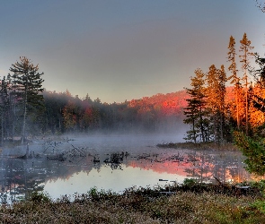 Jesień, Mgła, Las, Jezioro