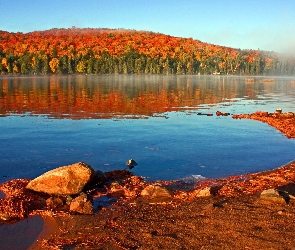 Jezioro, Jesień, Kamienie, Las