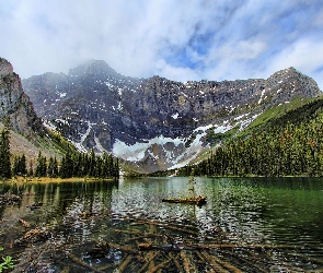 Jezioro, Drzewa, Góry