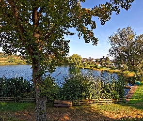 Jezioro, Drzewa, Miasteczko